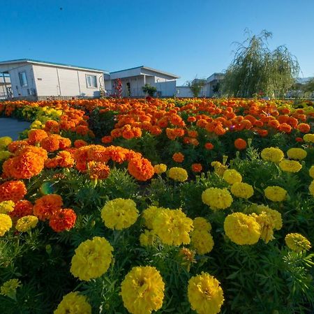 Aquamarine Resort Akshi Εξωτερικό φωτογραφία
