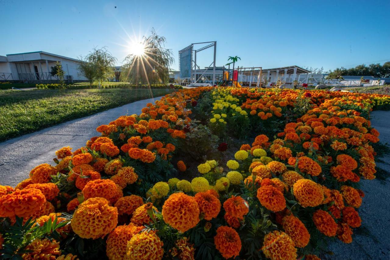 Aquamarine Resort Akshi Εξωτερικό φωτογραφία